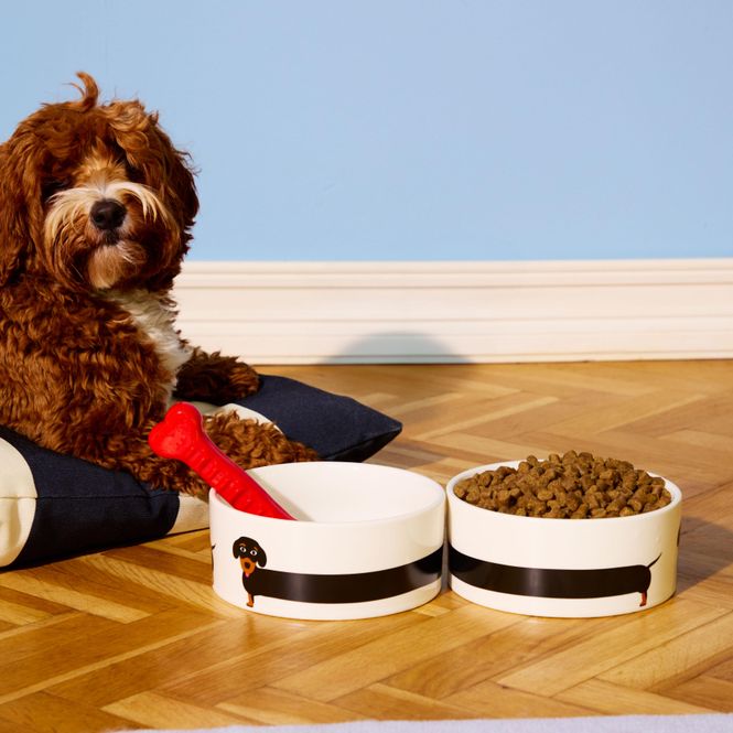 Hovedbilde Dog Hundeskål