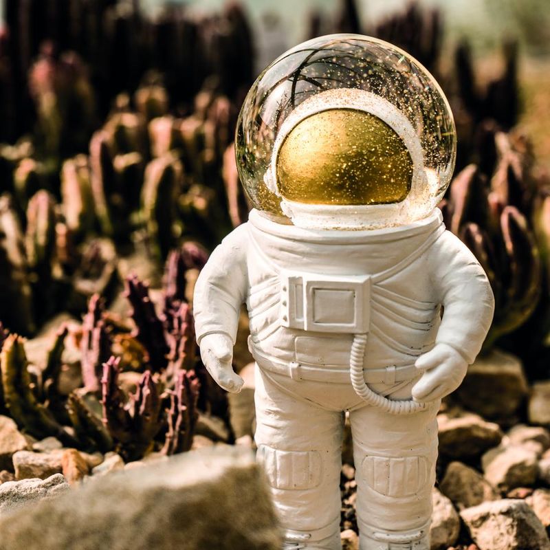 The Astronaut Summerglobe